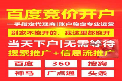 某品牌SEM广告投放的全程记录与效果分析